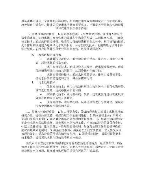 黑臭水体治理技术政策