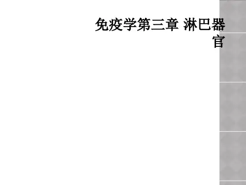 免疫学第三章 淋巴器官