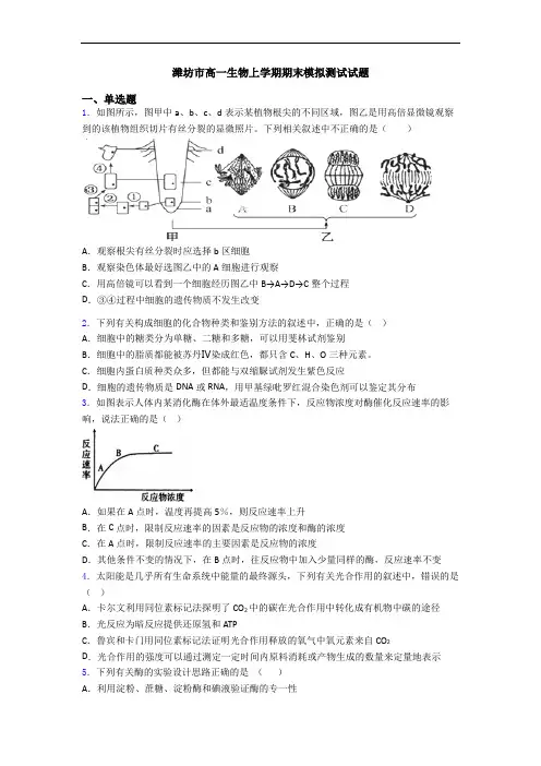 潍坊市高一生物上学期期末模拟测试试题