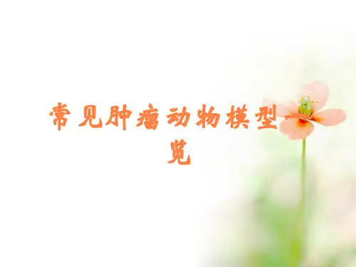 常见肿瘤动物模型一览