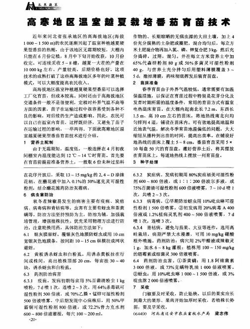 高寒地区温室越夏栽培番茄育苗技术