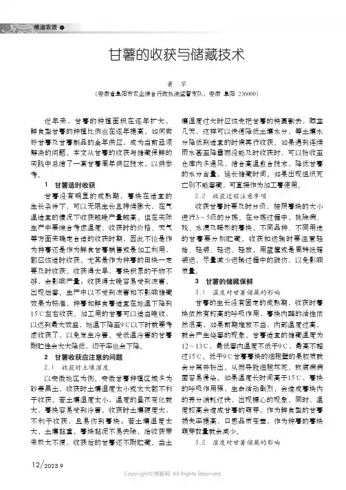 甘薯的收获与储藏技术