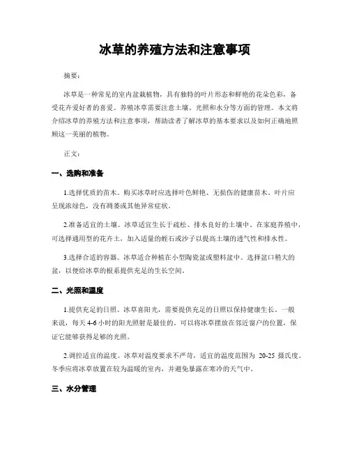 冰草的养殖方法和注意事项