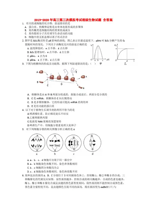 2019-2020年高三第三次模拟考试理综生物试题 含答案