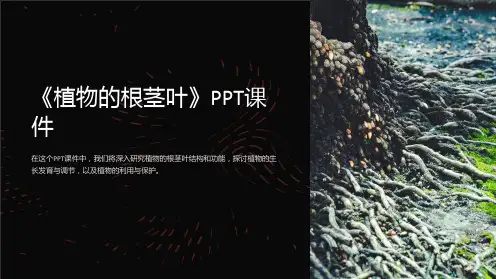 《植物的根茎叶》课件