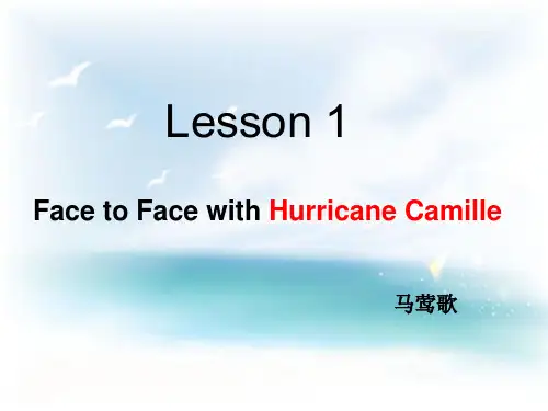 高级英语第二册修辞汇总
