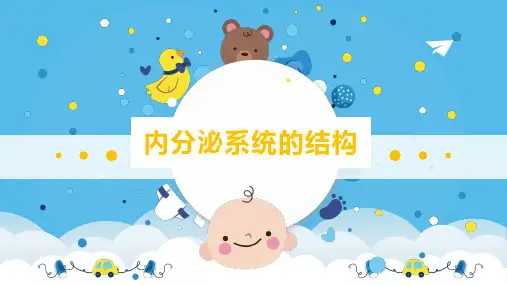 婴幼儿医学基础教学课件：任务十五 内分泌系统的结构
