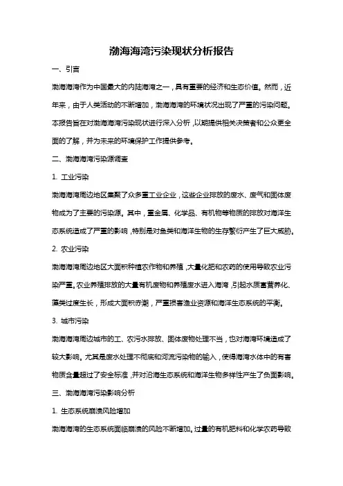 渤海海湾污染现状分析报告