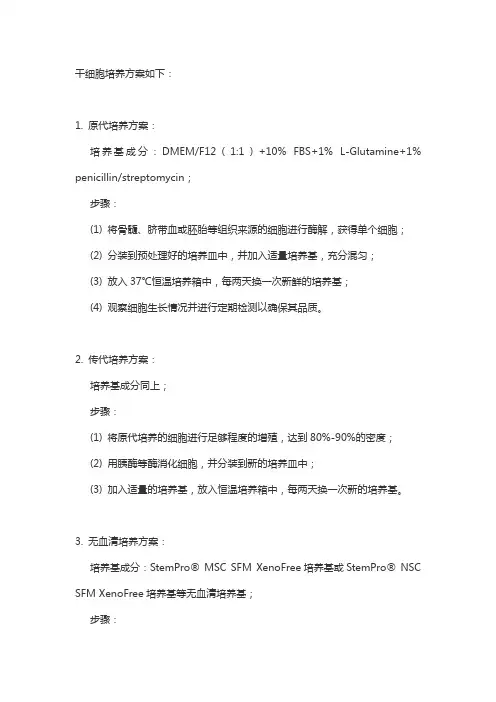干细胞培养方案