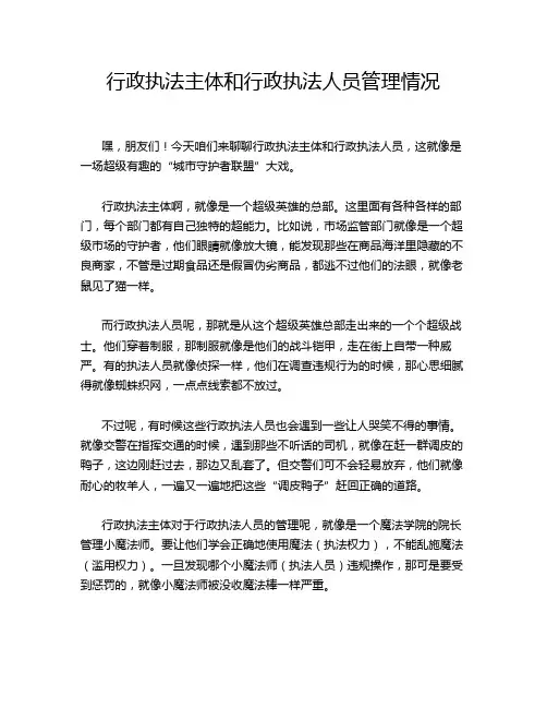 行政执法主体和行政执法人员管理情况