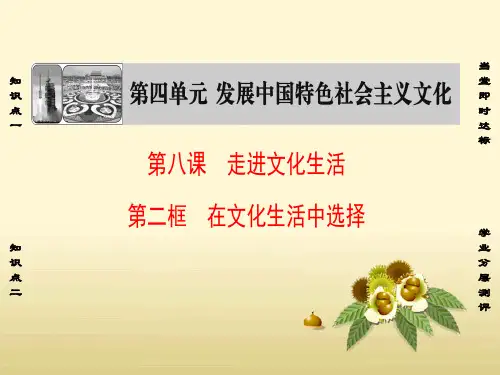 高中政治第4单元发展中国特色社会主义文化第8课走进文化生活第2框在文化生活中选择课件新人教版必修3