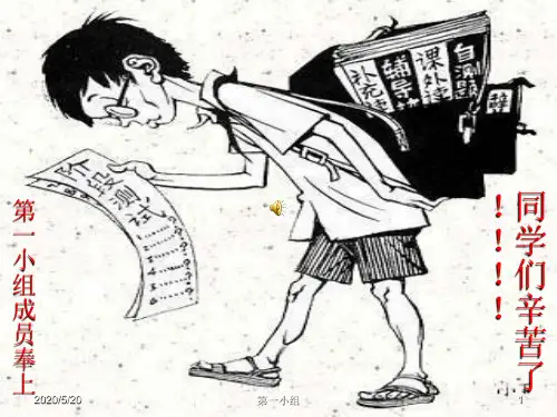 泵的设计和理论