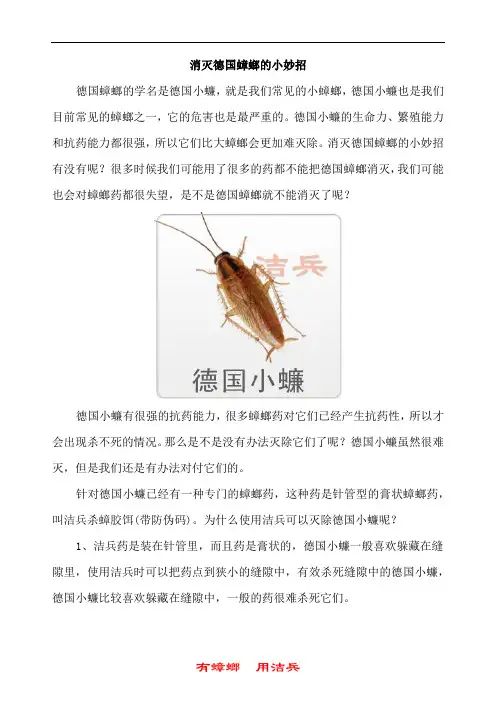 消灭德国蟑螂的小妙招