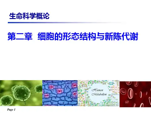 细胞的形态结构与新陈代谢