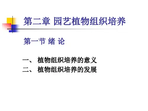 【2024版】植物组织培养的意义