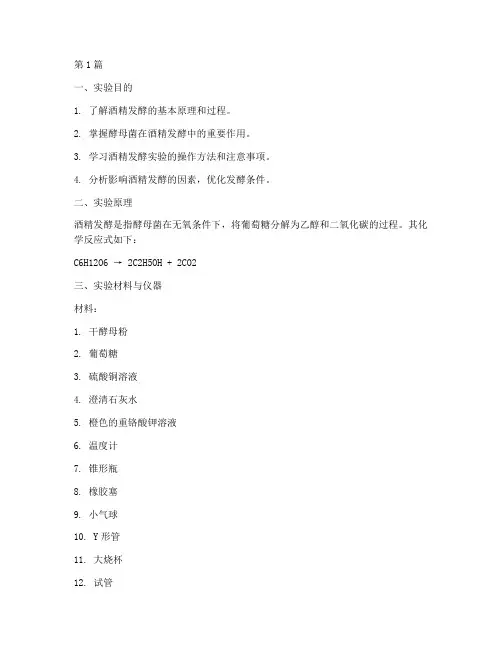 酒精发酵项目实验报告(3篇)