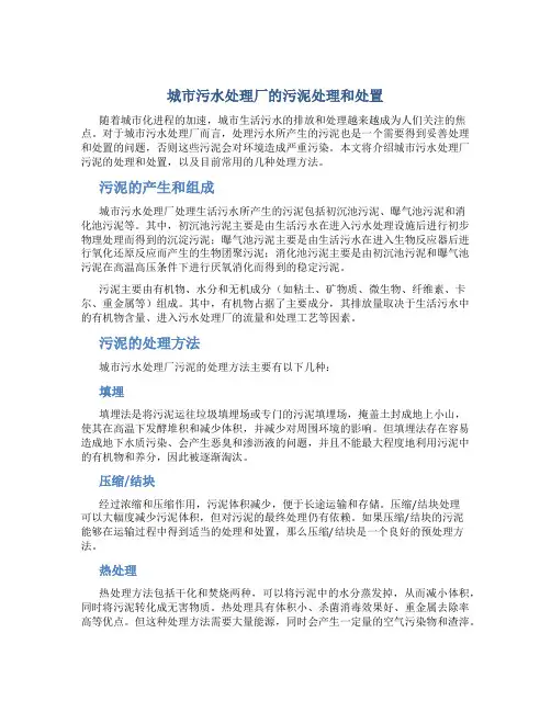 城市污水处理厂的污泥处理和处置