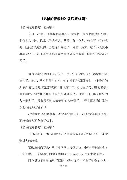 《忠诚的流浪狗》读后感(8篇)