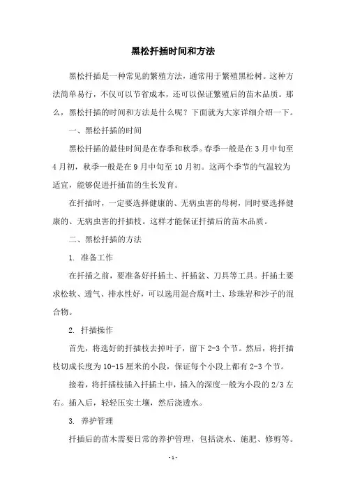 黑松扦插时间和方法