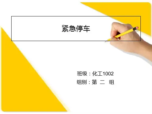 《紧急停车系统》完整版资料