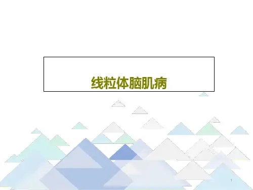 线粒体脑肌病课件