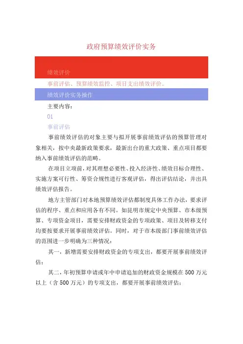 政府预算绩效评价实务