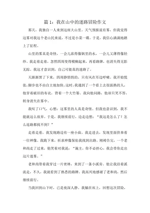 我在山中的迷路冒险作文精选10篇