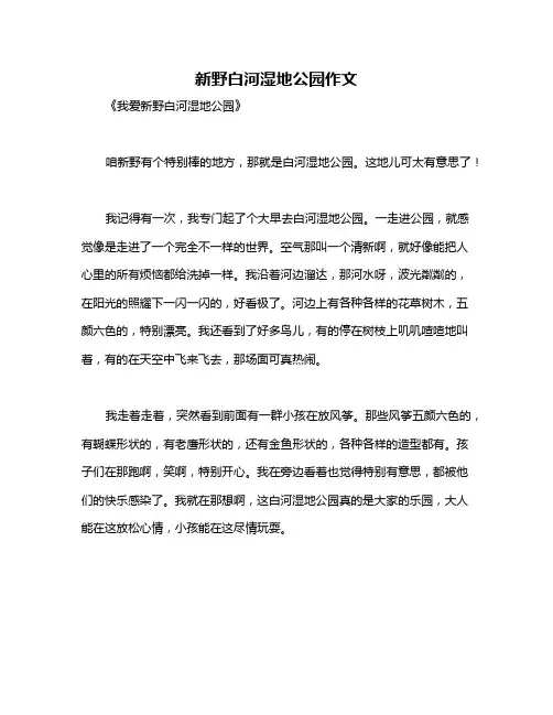 新野白河湿地公园作文