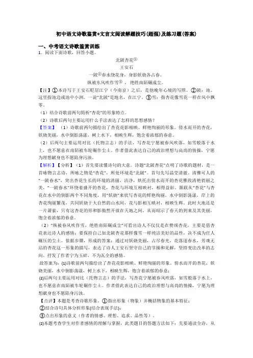 初中语文诗歌鉴赏+文言文阅读解题技巧(超强)及练习题(答案)