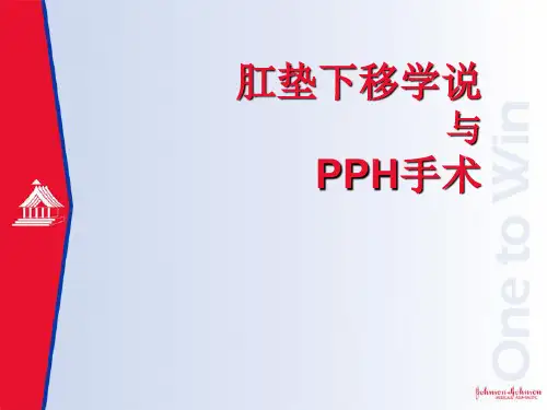 PPH手术ppt