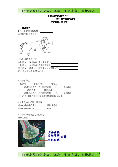 高考生物总复习例题讲解：动物生命活动调节(一)——神经调节和体液调节-