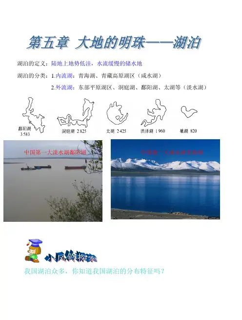 湖泊的定义
