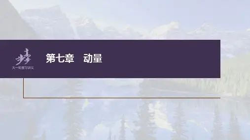 高中物理高考 第7章 第1讲 动量定理及应用    2023年高考物理一轮复习(新高考新教材) 