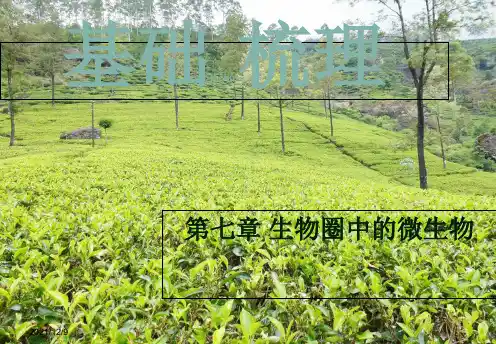 中考生物总复习 第七章 生物圈中的微生物基础梳理课件