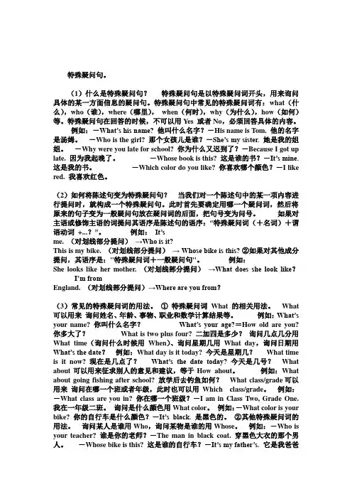 特殊疑问句
