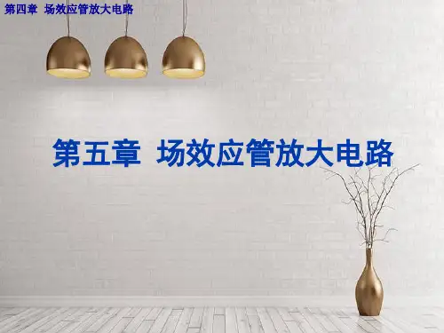 第四章场效应管放大电路
