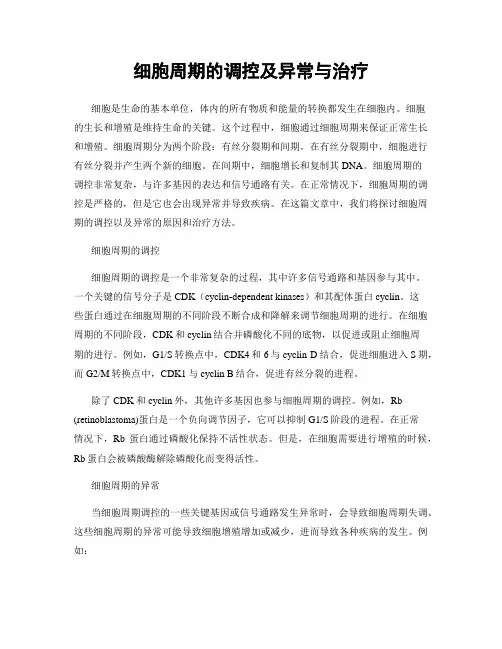细胞周期的调控及异常与治疗