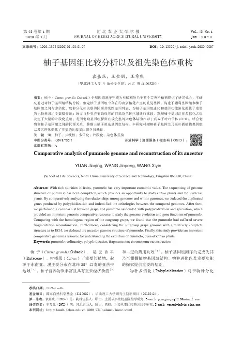 柚子基因组比较分析以及祖先染色体重构
