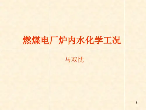 9炉内水处理、磷酸盐处理(PT)、磷酸盐隐藏