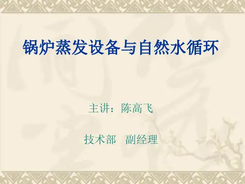 锅炉-陈高飞--锅炉蒸发设备与自然水循环