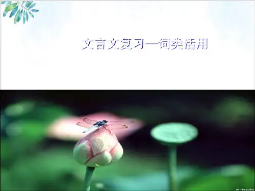 高中语文必修一PPT-文言文词类活用PPT课件