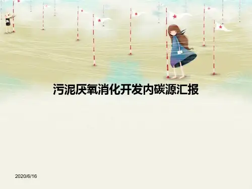 污泥做碳源
