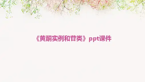 《黄酮实例和苷类》课件