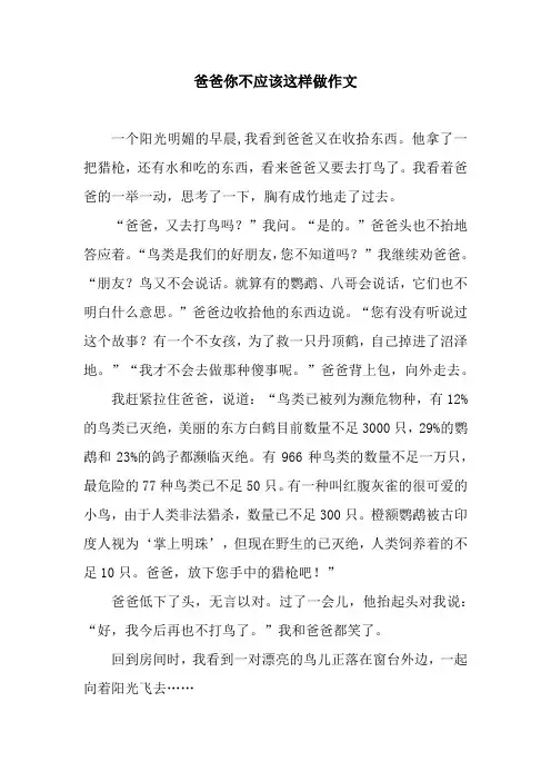 爸爸你不应该这样做作文