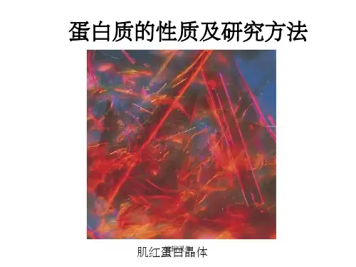 生物化学原理杨荣武蛋白质的结构与功能-第5部分