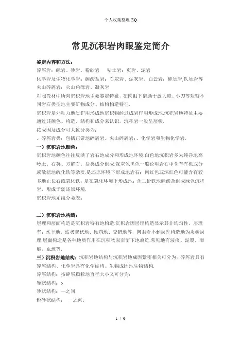 常见沉积岩肉眼鉴定简介