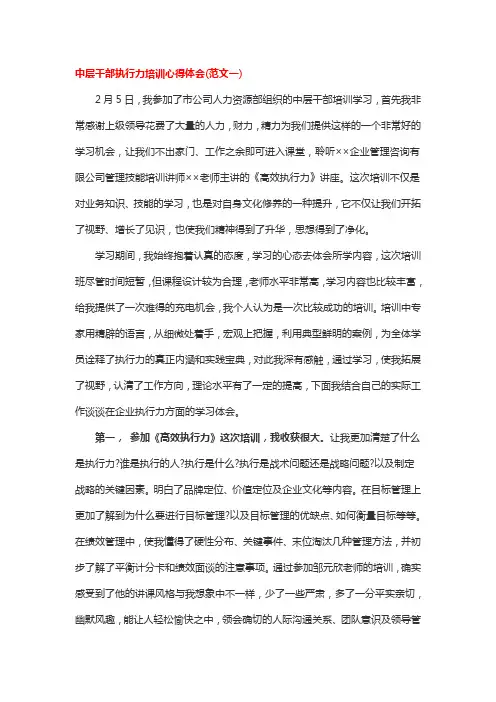 中层干部执行力培训心得体会