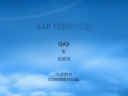 sap 权限的设定