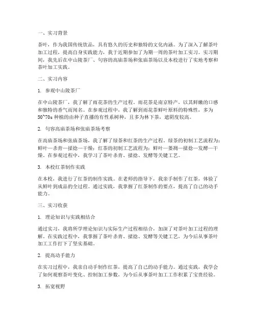 茶叶加工实习报告总结
