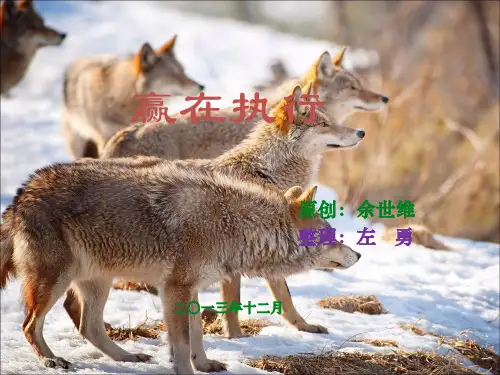 赢在执行(员工版)